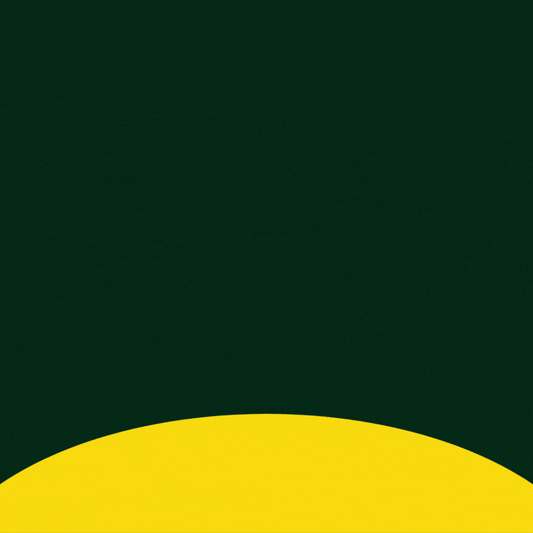 Spondin - Trial Pack - 15 Days Therapy