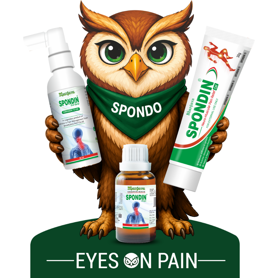 Meet Spondo