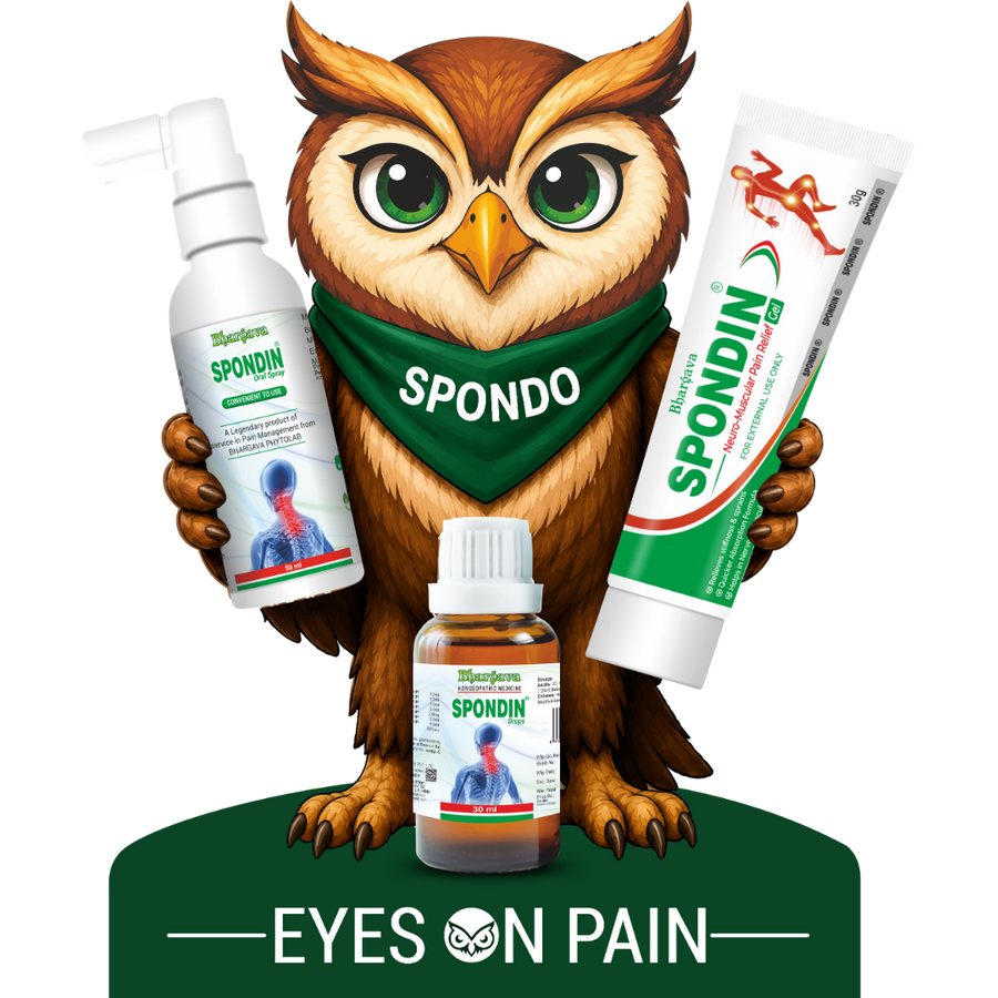 Meet Spondo