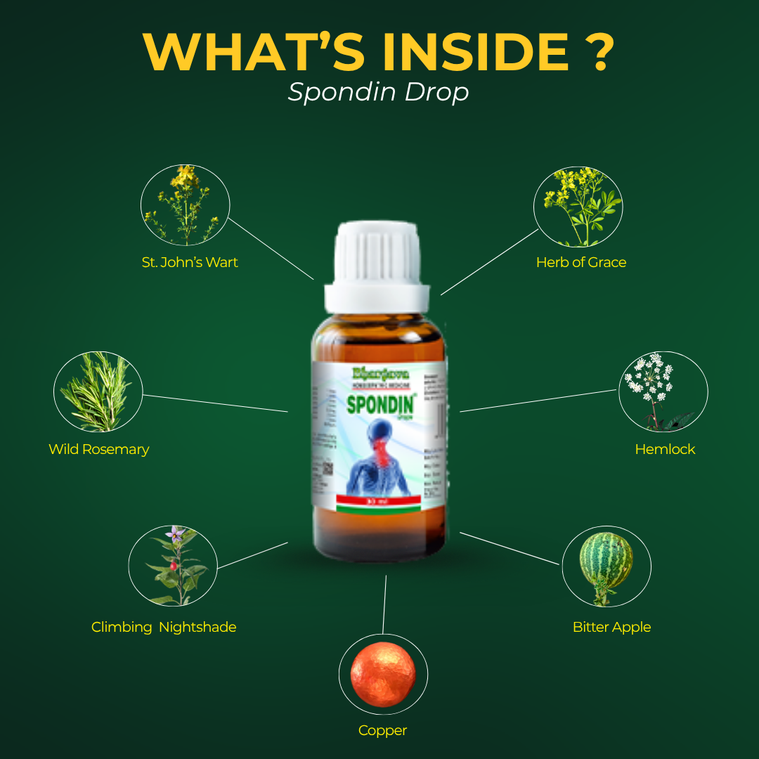 Spondin Drops + FREE Spondin Gel